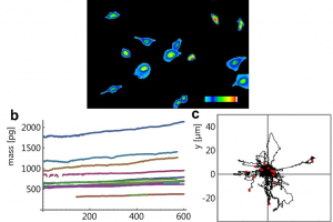 New paper "Addressing cancer invasion and cell motility with quantitative light microscopy"
