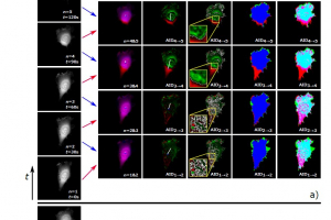 New paper by Dr. Zbyněk Dostál