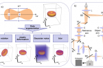 New papers by R.Chmelík and I.Michálková